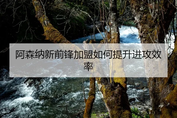 阿森纳新前锋加盟如何提升进攻效率