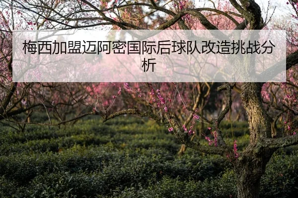 梅西加盟迈阿密国际后球队改造挑战分析